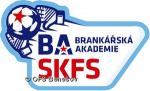baskfs logo